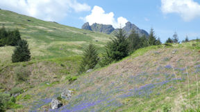 scotland
